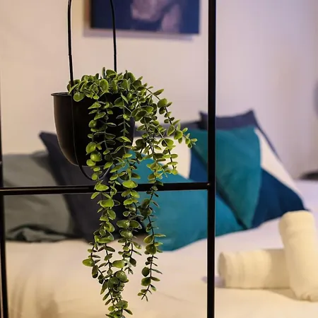 Parga 1 Hypercentre - Capitole à 500m Appartement Toulouse